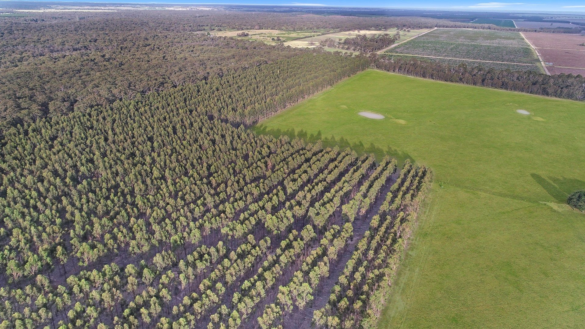 . South Gippsland Highway, Giffard West VIC 3851, Image 0