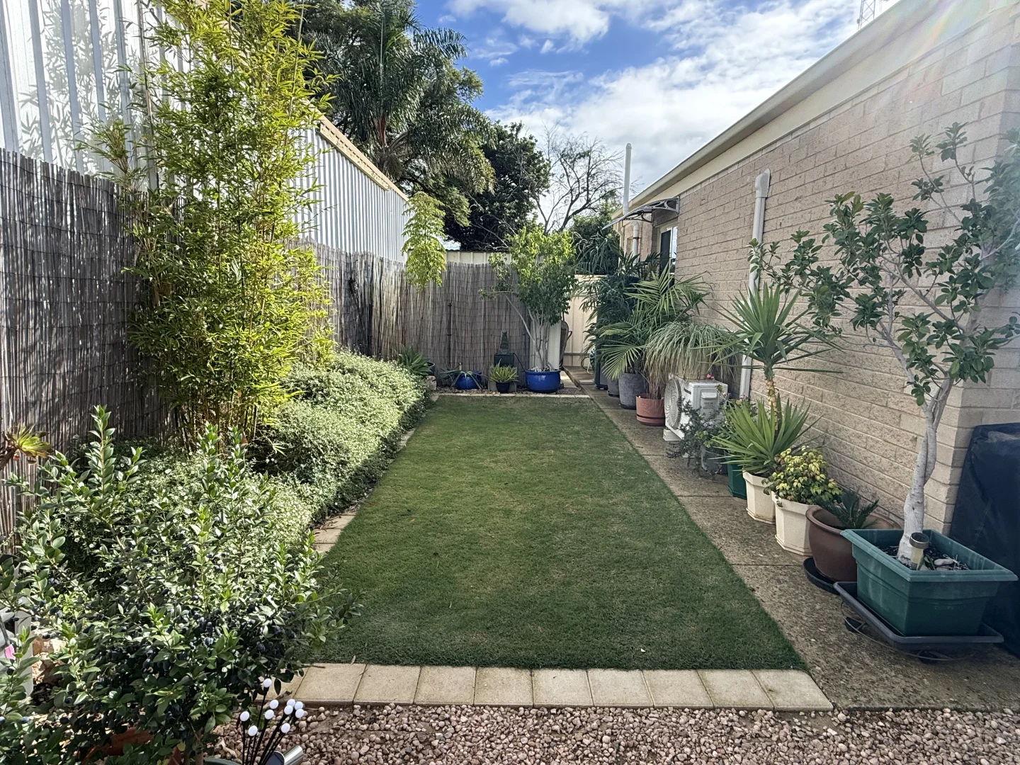 Image 15