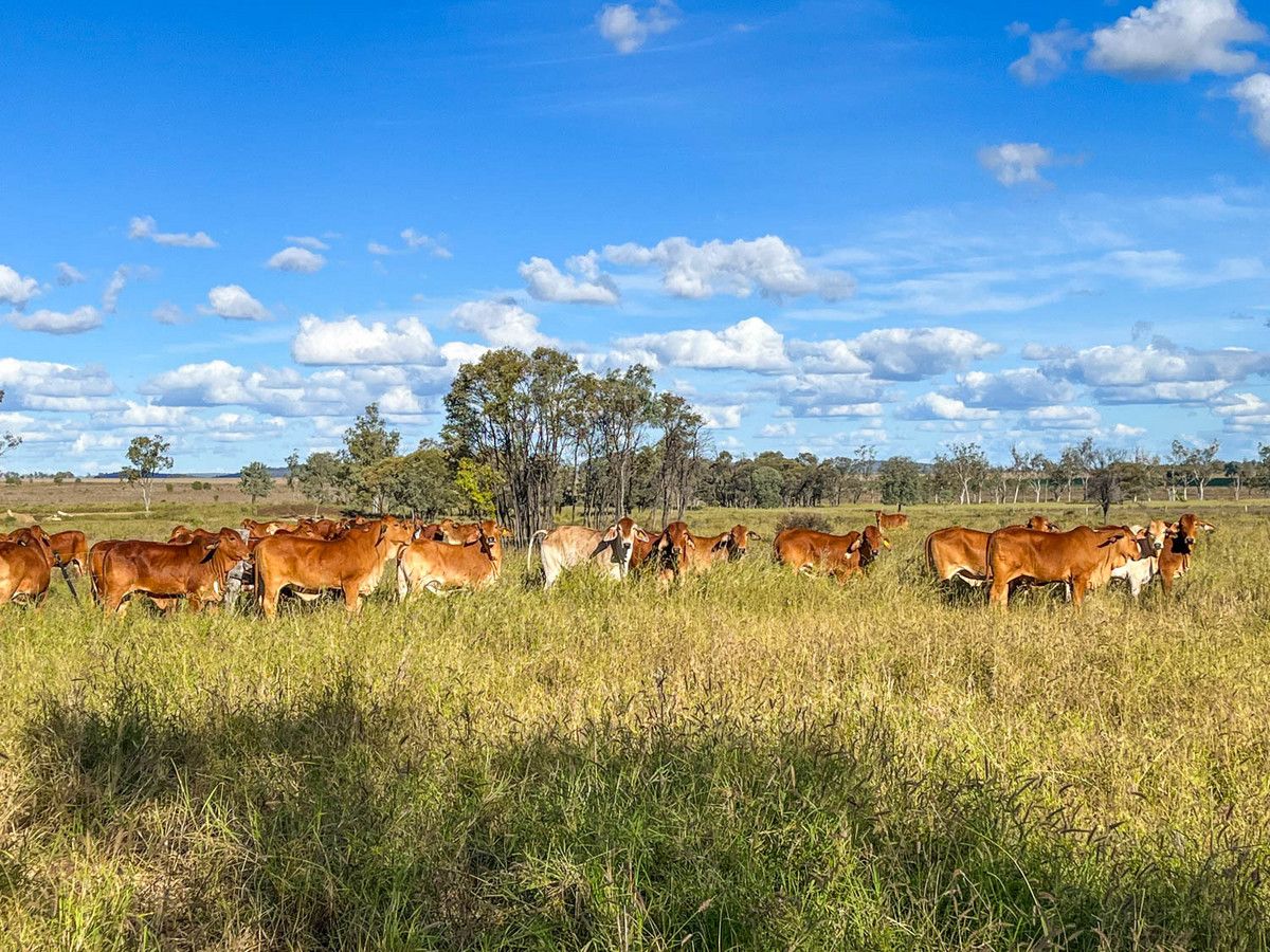 90 Geneva Road, Theodore QLD 4719 House for Sale Domain