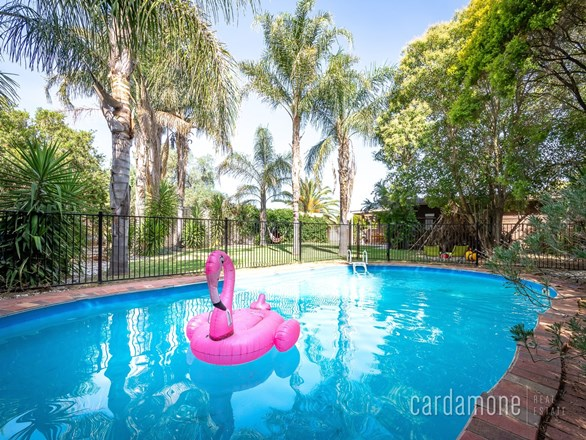 3 Hilmi Court, Shepparton East VIC 3631