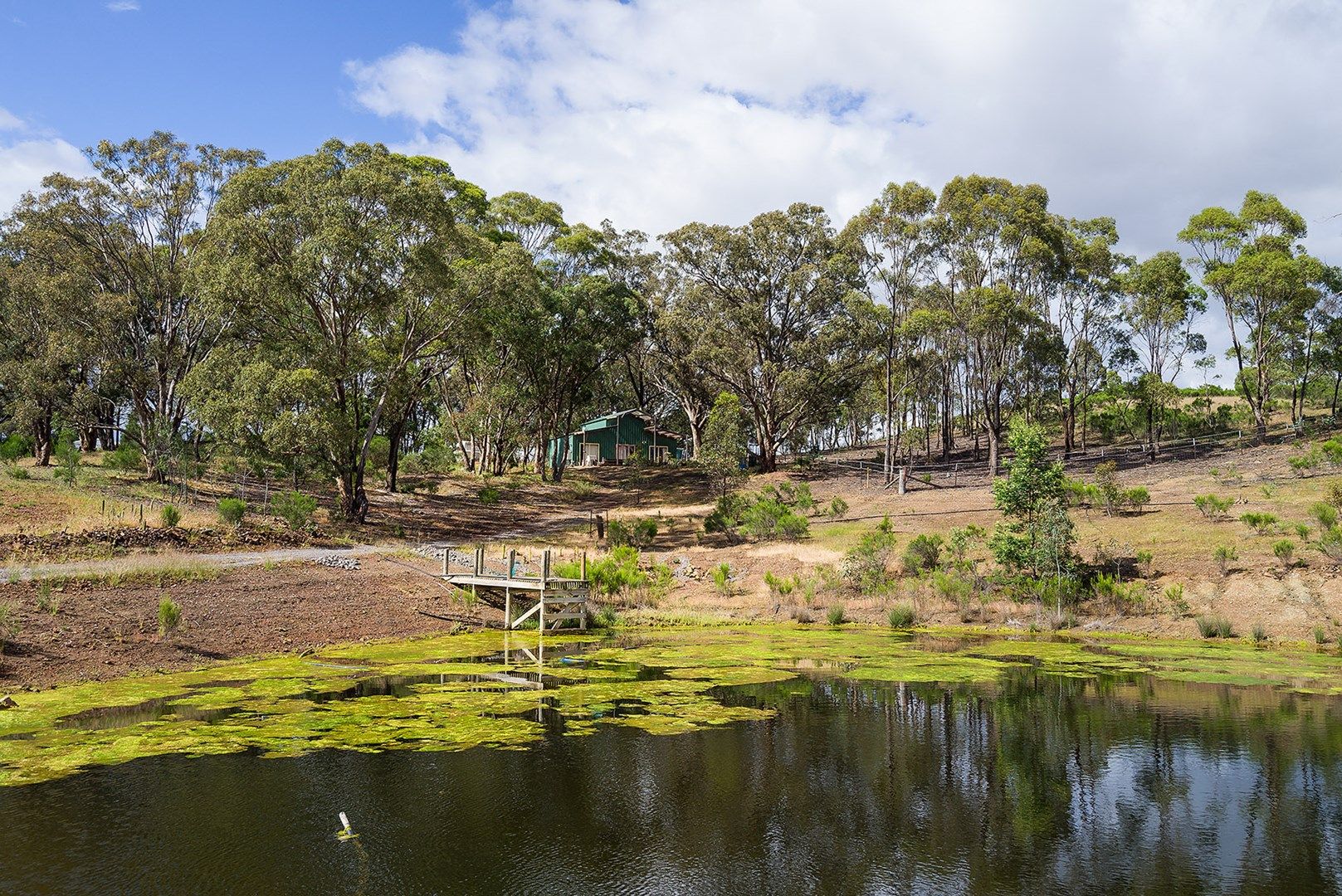 243 White Gum Road, Barkers Creek VIC 3451, Image 0