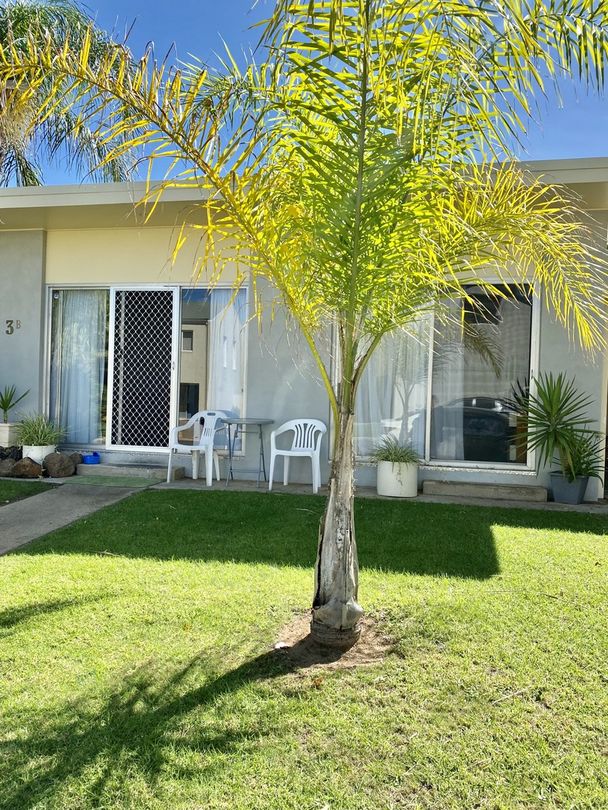 1 bedrooms Apartment / Unit / Flat in 3B Foster Court MULWALA NSW, 2647