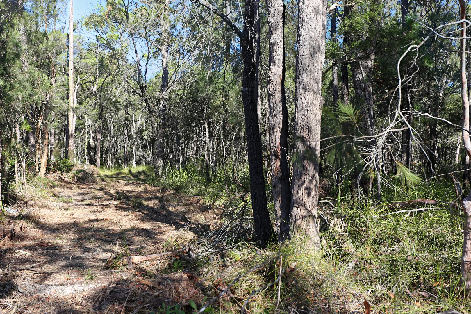 Additional image 14 of Lot 10 Pindimar Road, Pindimar NSW 2324