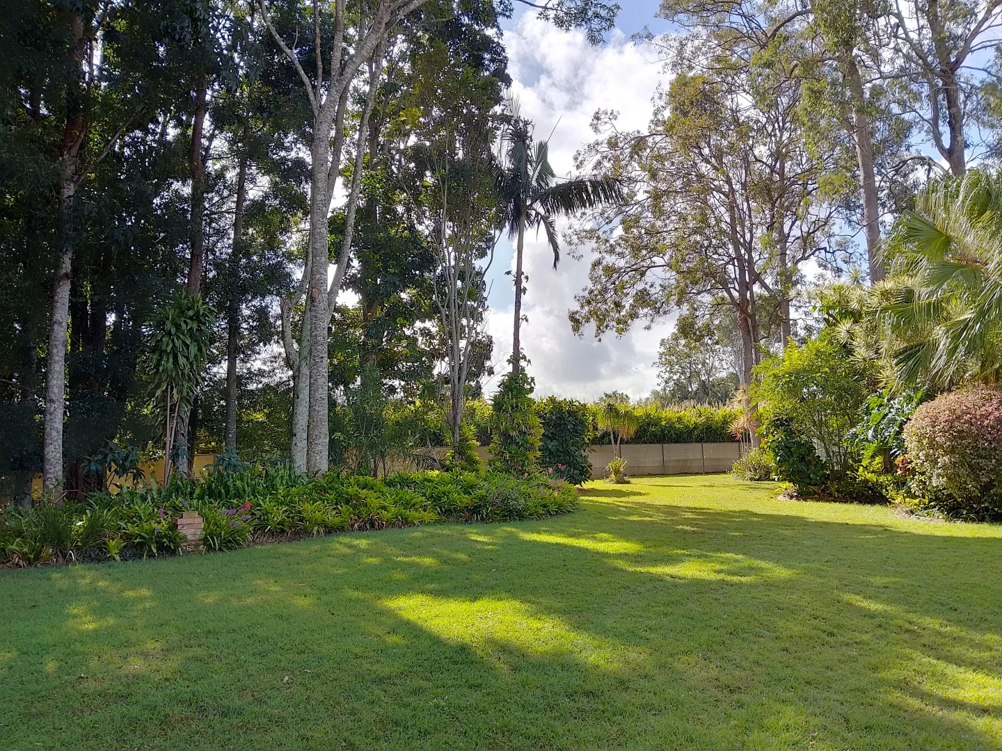 Image 32