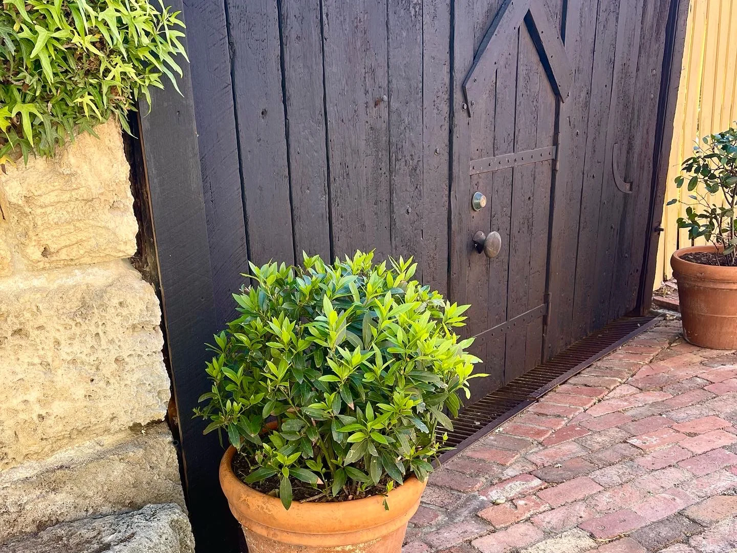 Additional image 13 of 8A Coral Street, South Fremantle WA 6162