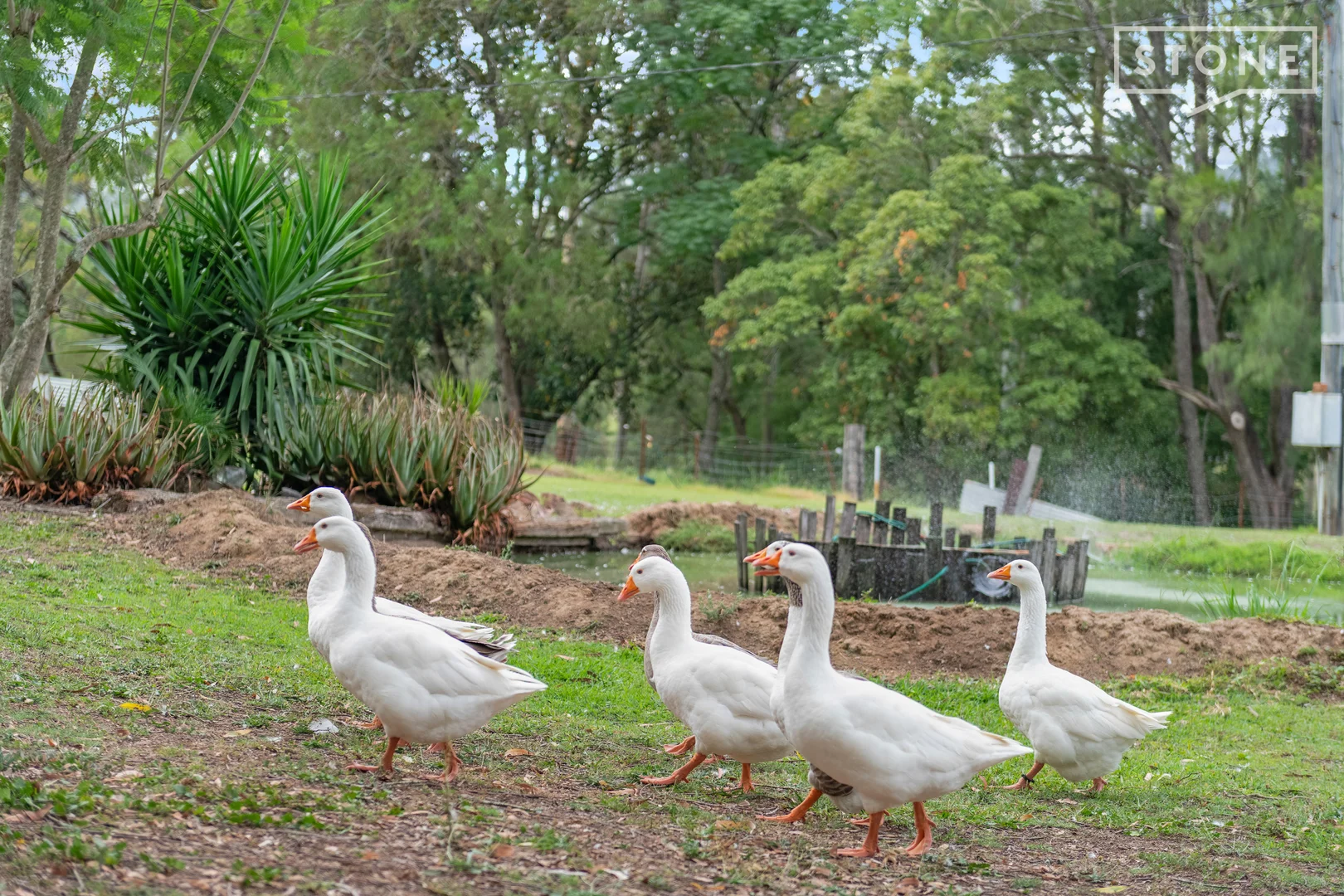 Additional image 11 of 121 Black Rock Road, Martins Creek NSW 2420