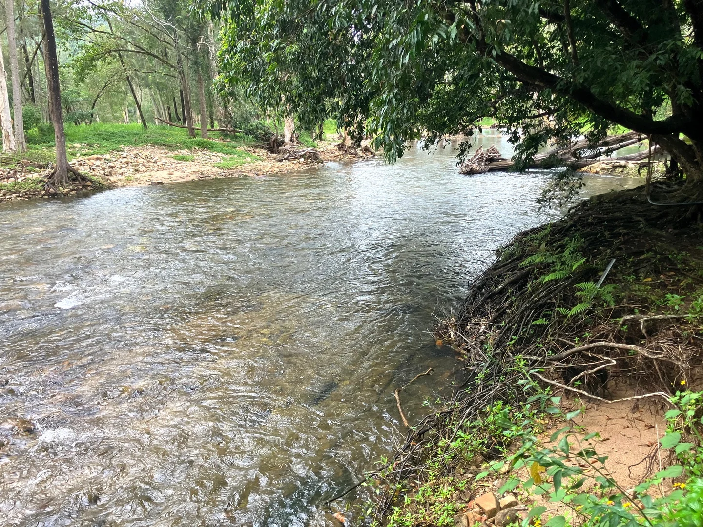 Additional image 21 of Gorge Road, Finch Hatton QLD 4756