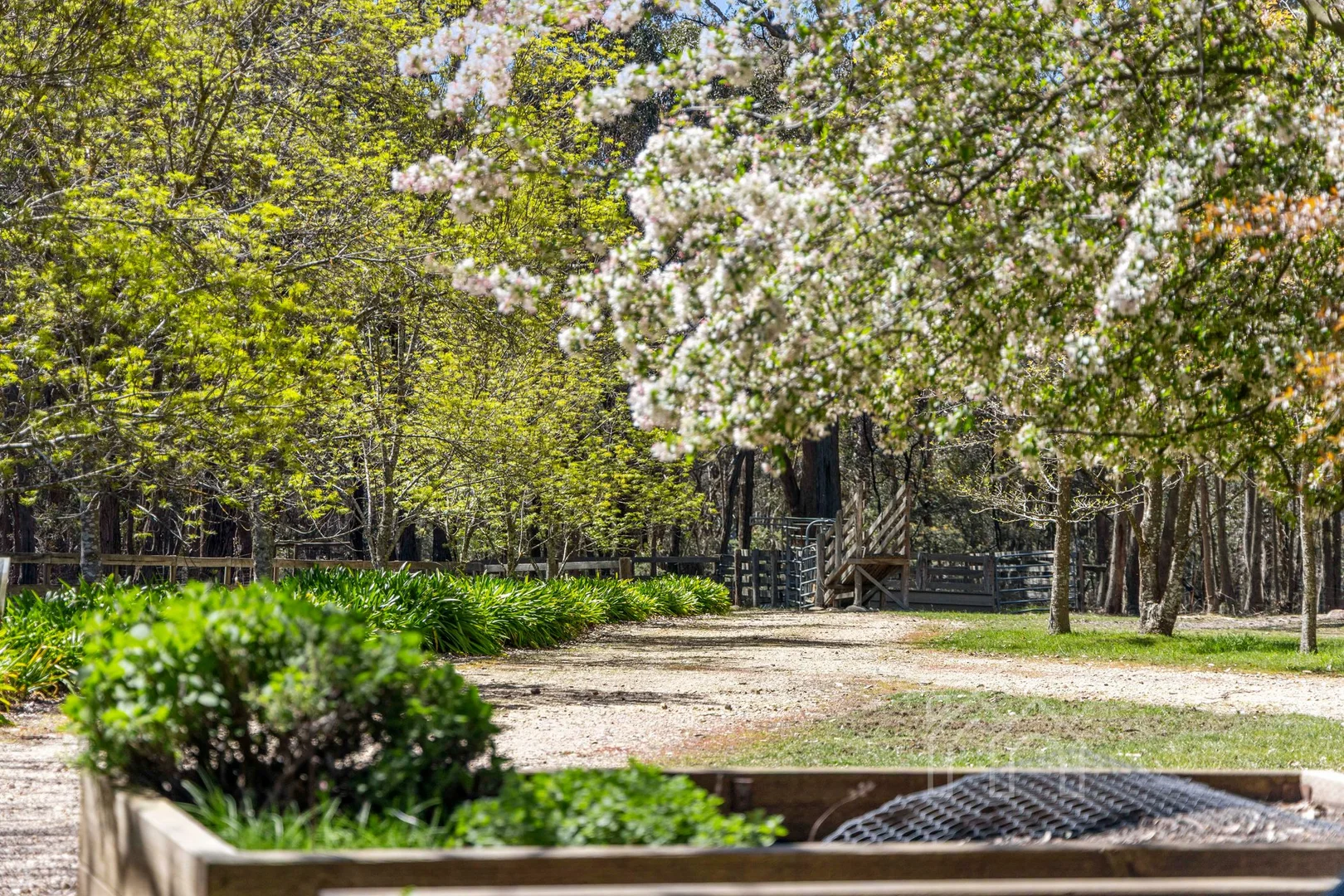 Additional image 25 of 153 Sandy Farm Road, Denver VIC 3461