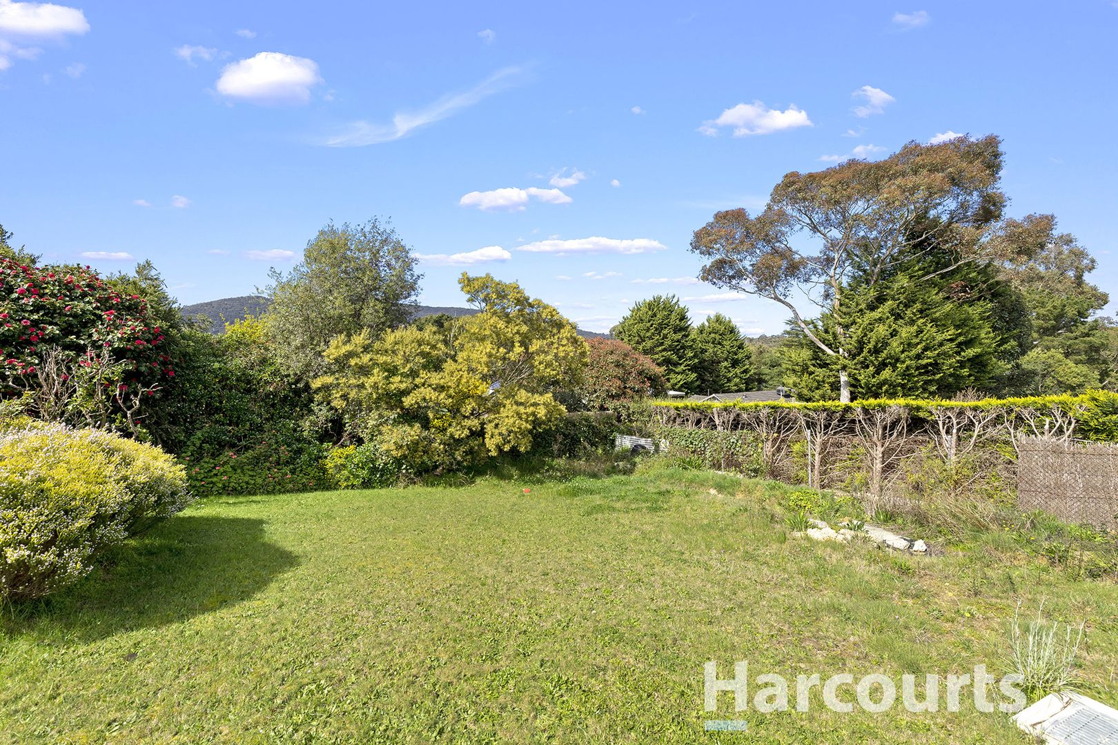 49B Rankin Road, Boronia VIC 3155, Image 2