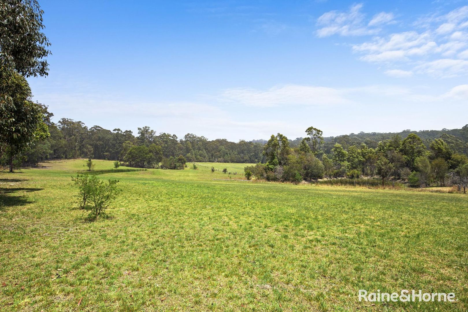 150 Bawley Point Road, Termeil NSW 2539, Image 1