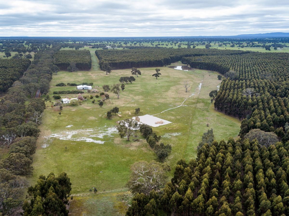 3388 Coleraine-Balmoral Road, Englefield VIC 3407, Image 2