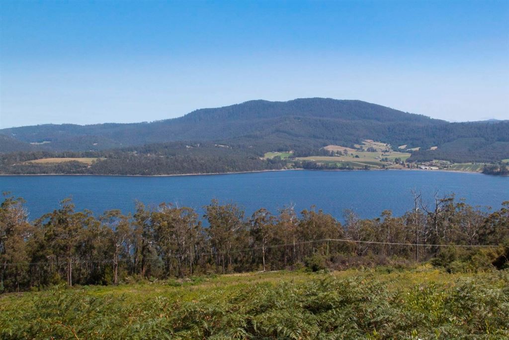 Lot 3 Cygnet Coast Road, Petcheys Bay TAS 7109, Image 0