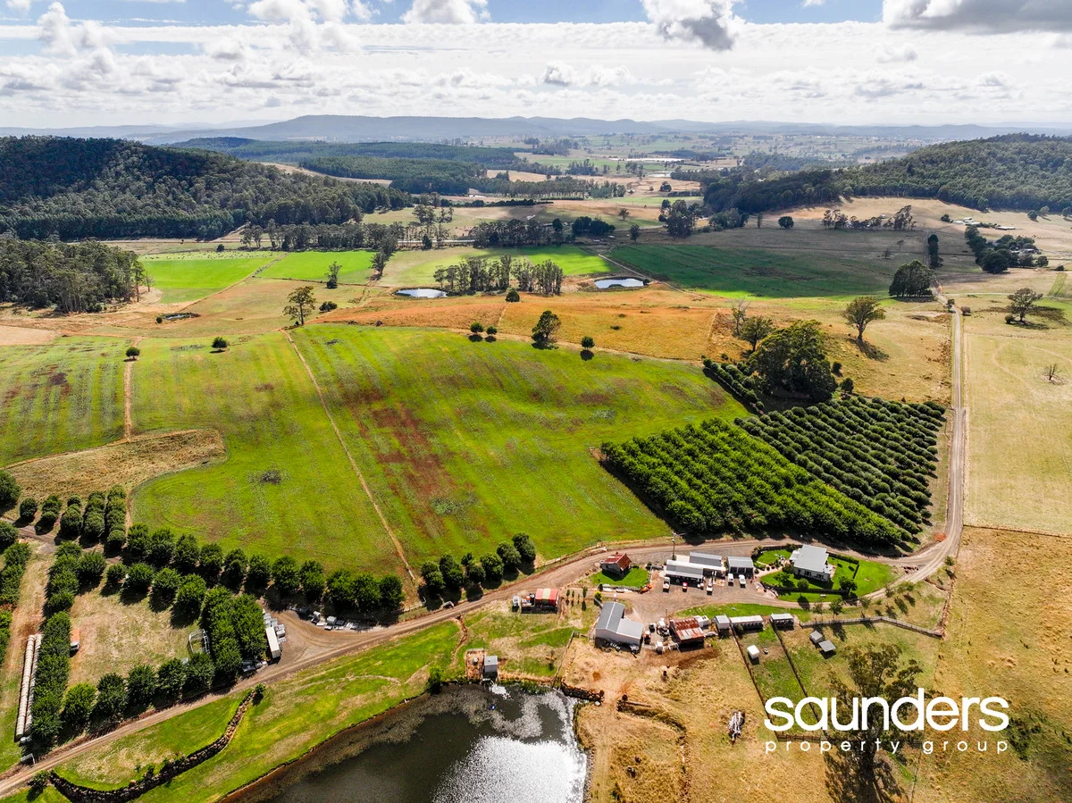 Additional image 38 of 110 Trickett Road, Needles TAS 7304