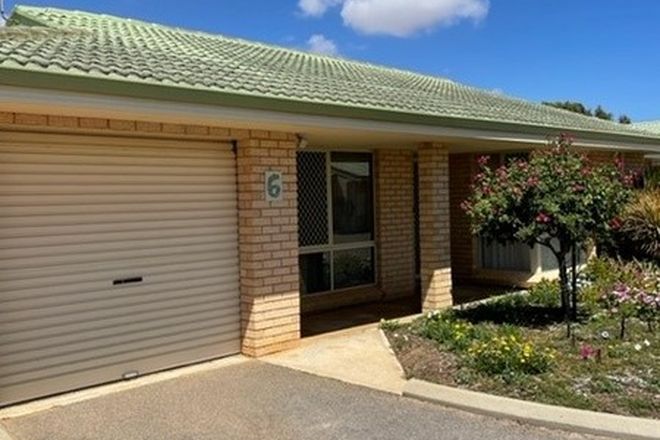 Picture of 6/206 Durlacher Street, GERALDTON WA 6530