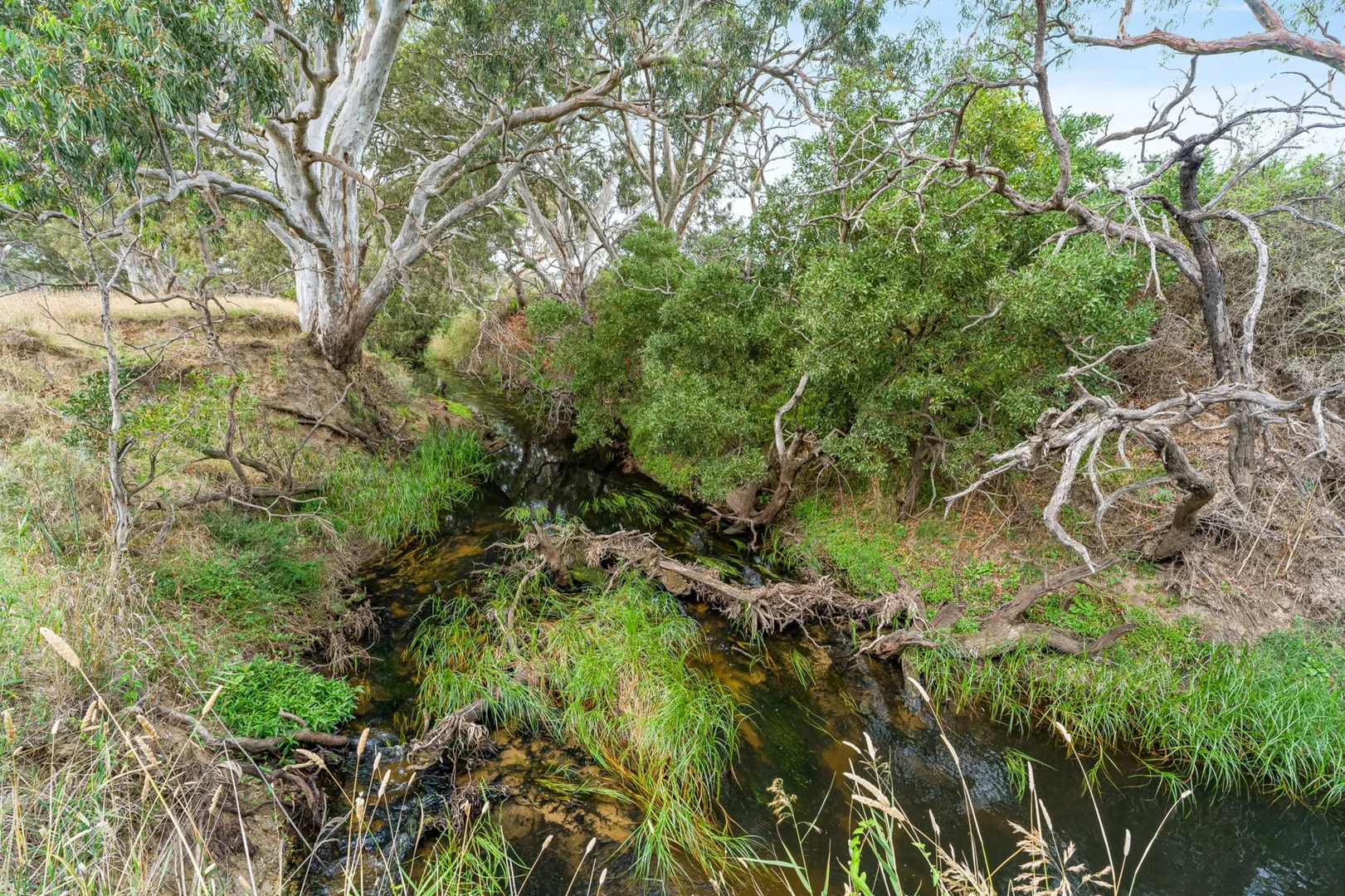 Additional image 20 of 230 Inverleigh-Shelford Road, Inverleigh VIC 3321