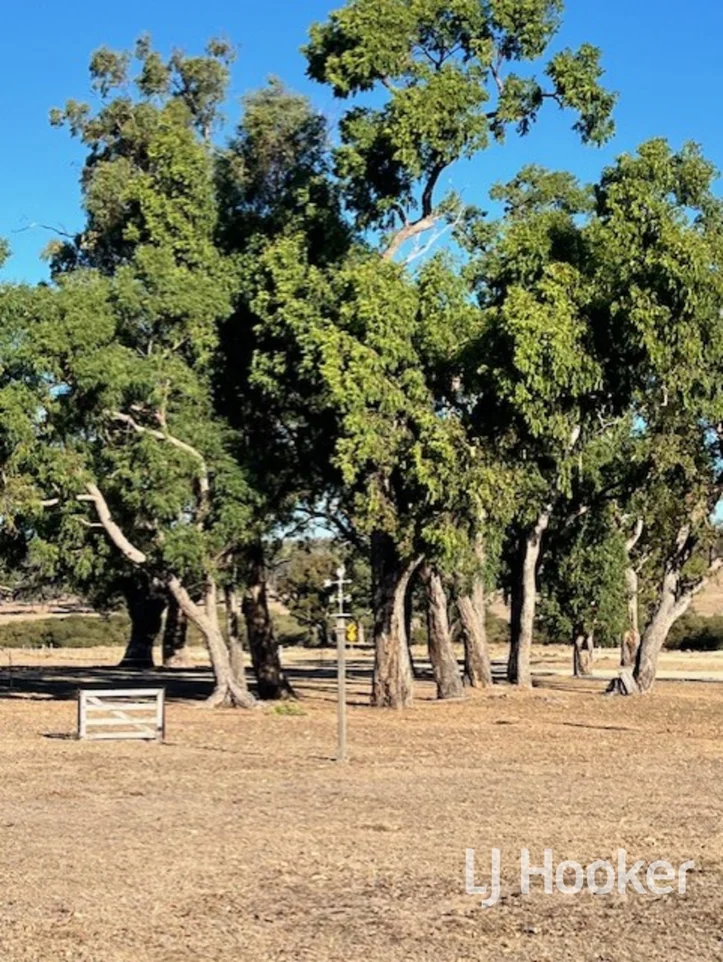 Additional image 12 of 296 Limestone Road, Inverell NSW 2360