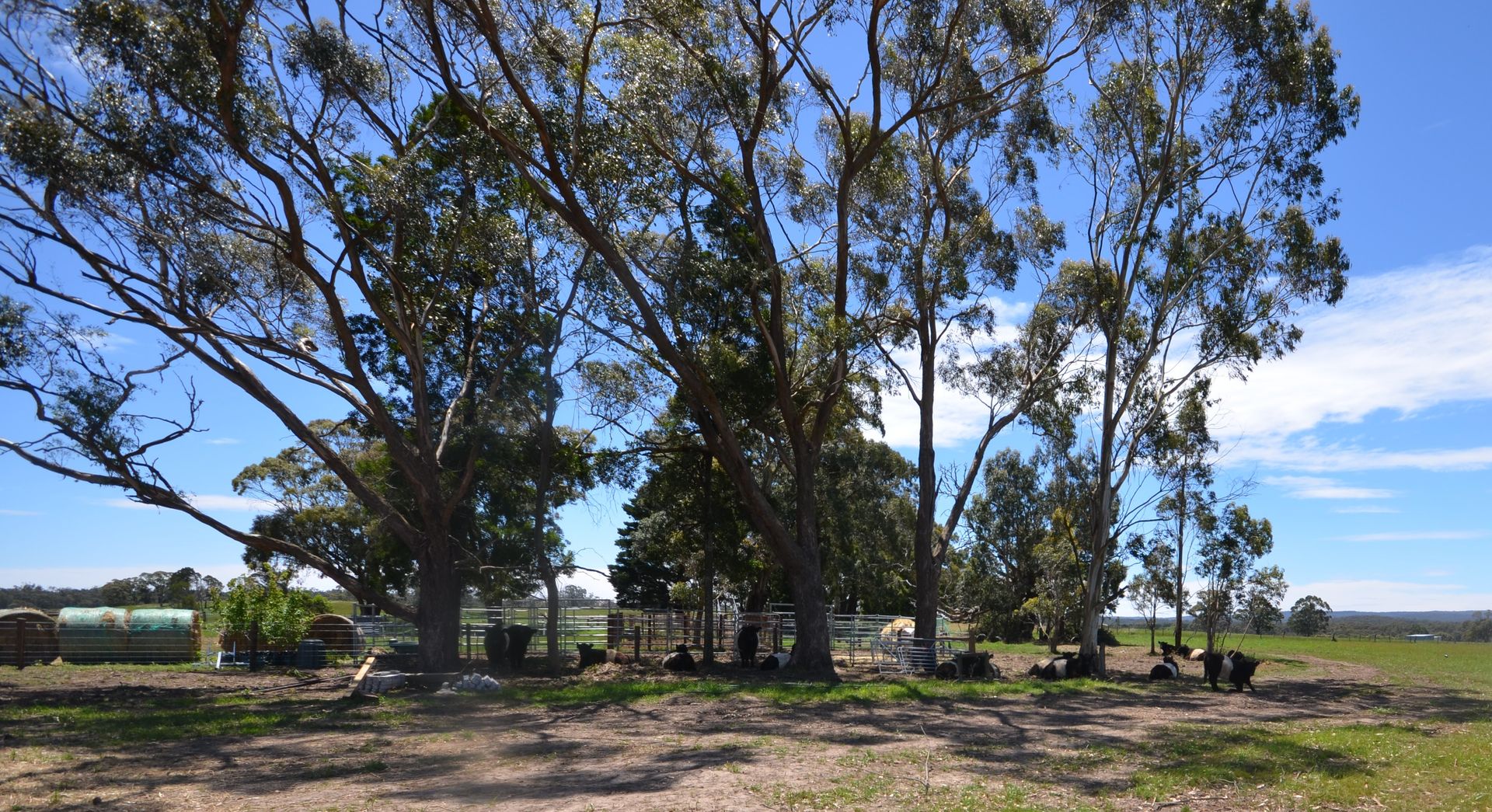 CA 1 & 6 Developmental Road, Bolwarrah VIC 3352, Image 1