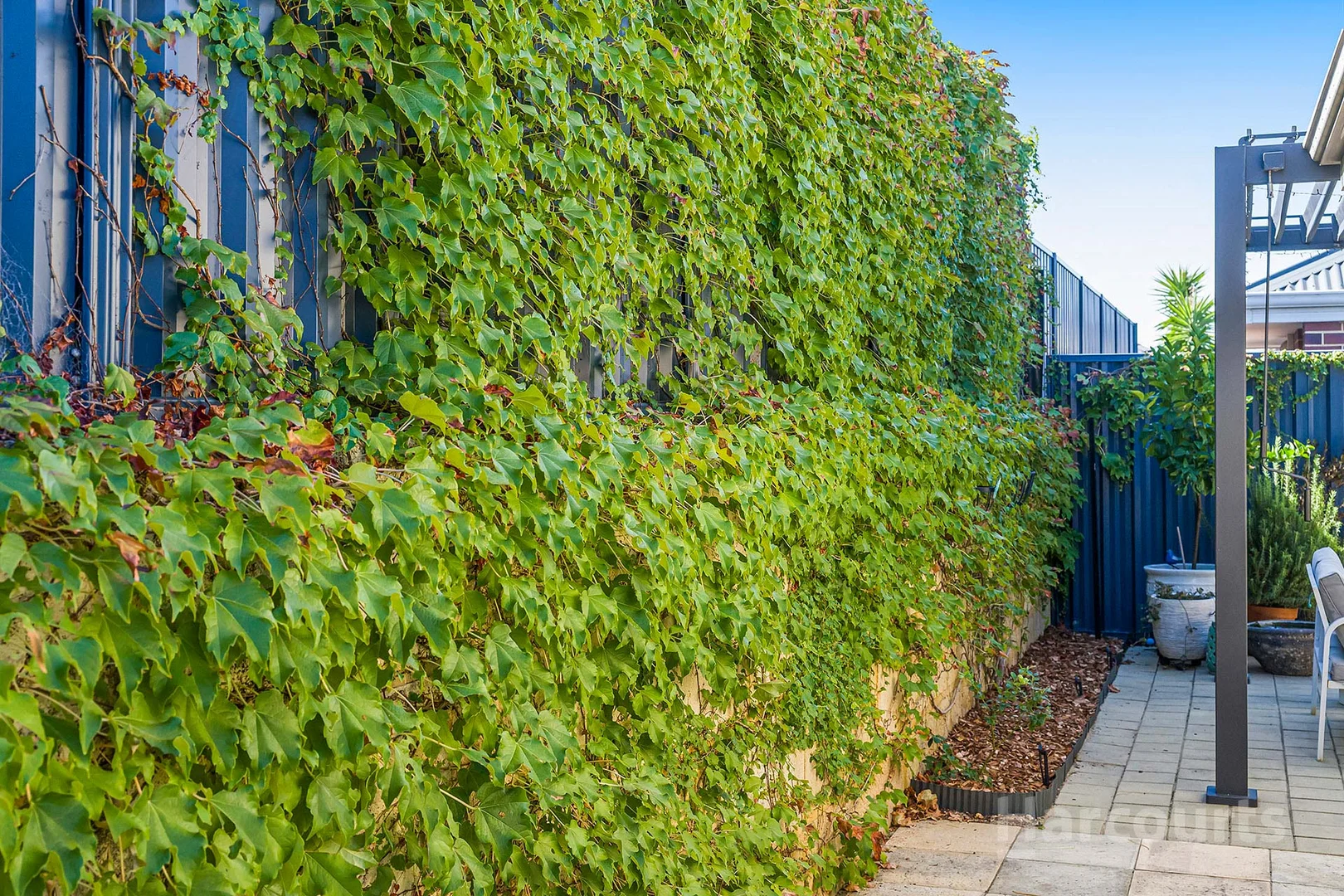 Additional image 30 of 23 Cabernet Loop, Pearsall WA 6065