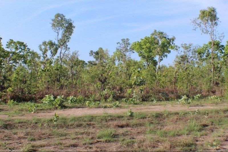 Blackmore NT 0822 vacant land for Sale, 265,000 2014930580 Domain