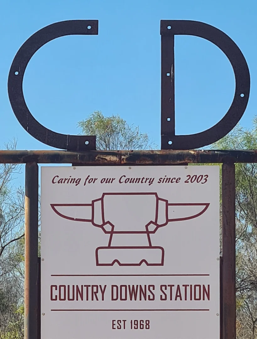 Image 18