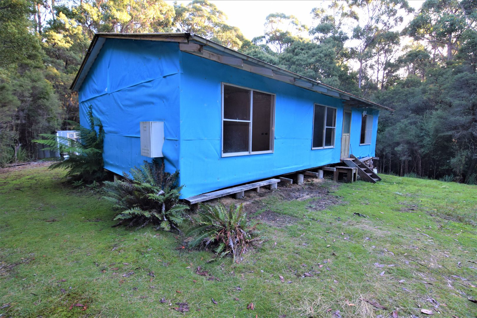 1224 Preolenna Road, Moorleah TAS 7325, Image 1