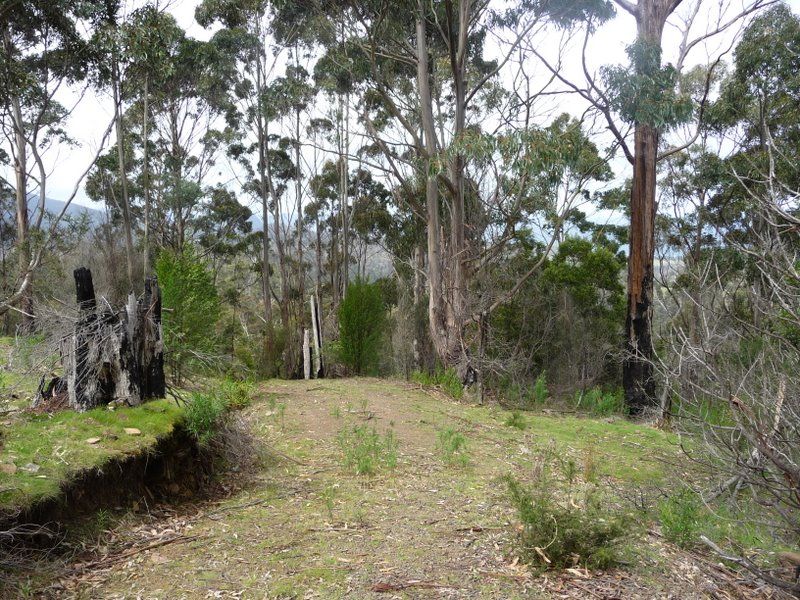 Lot 4 Wielangta Road, Kellevie TAS 7176, Image 2