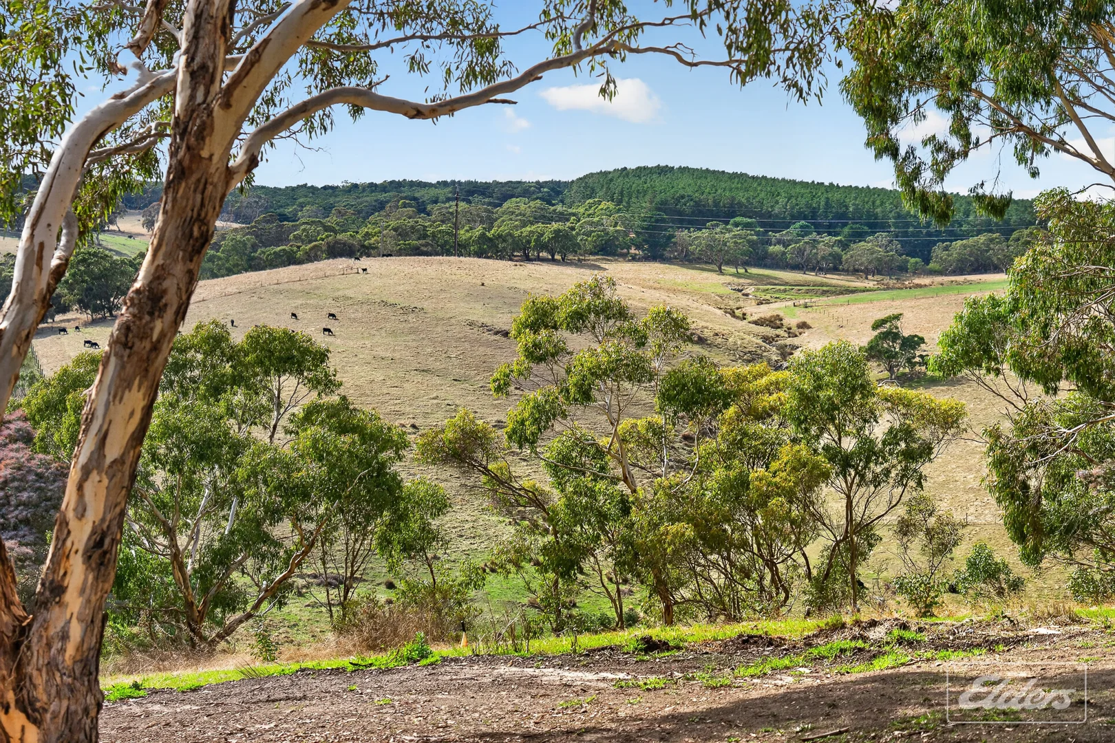 Additional image 47 of 23 Stockyard Hill Road, Delamere SA 5204