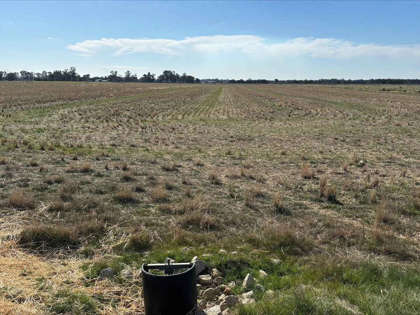 Image 15