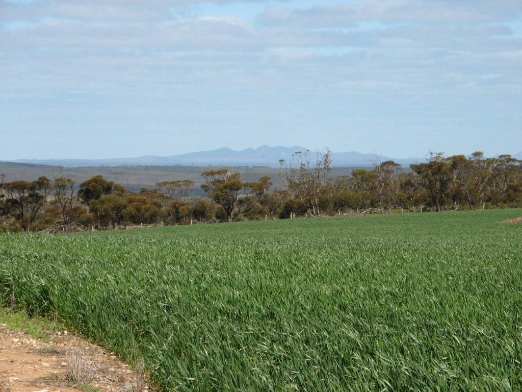 South Coastal Highway, Ravensthorpe WA 6346, Image 0