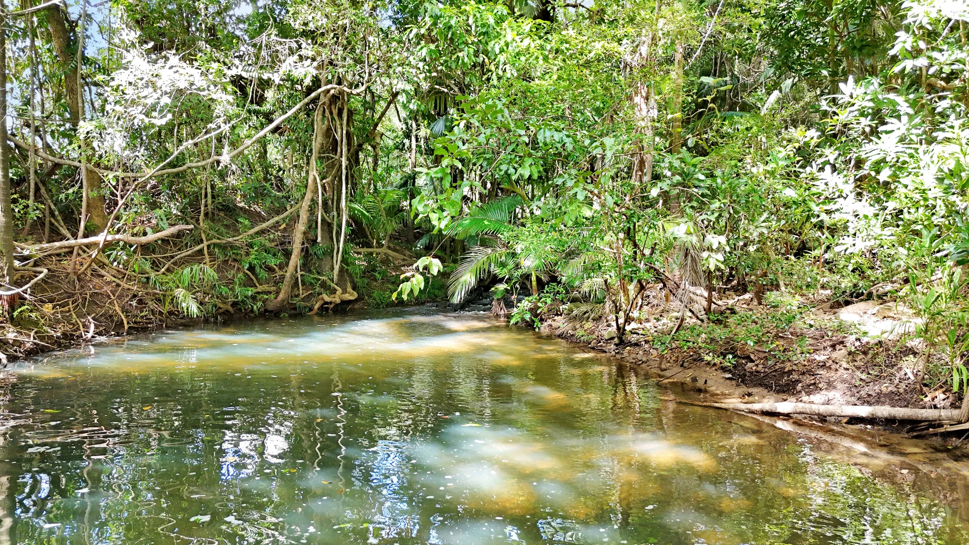 Additional image 27 of 6 Brooks Road, Kuttabul QLD 4741