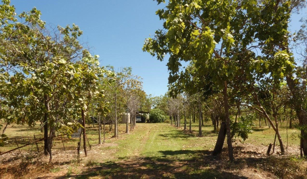 4641 Mount Wells Road, Adelaide River NT 0846 House for Sale