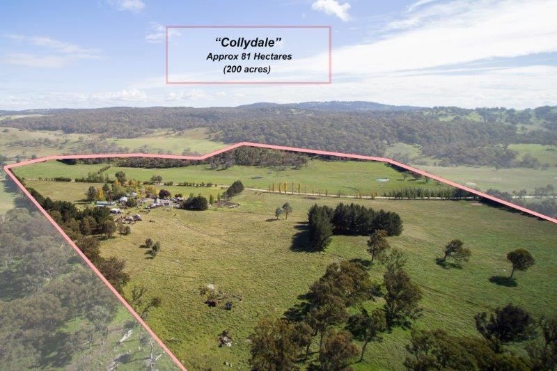 "Collydale/1872 Shannon Vale Road, via, Glen Innes NSW 2370, Image 2