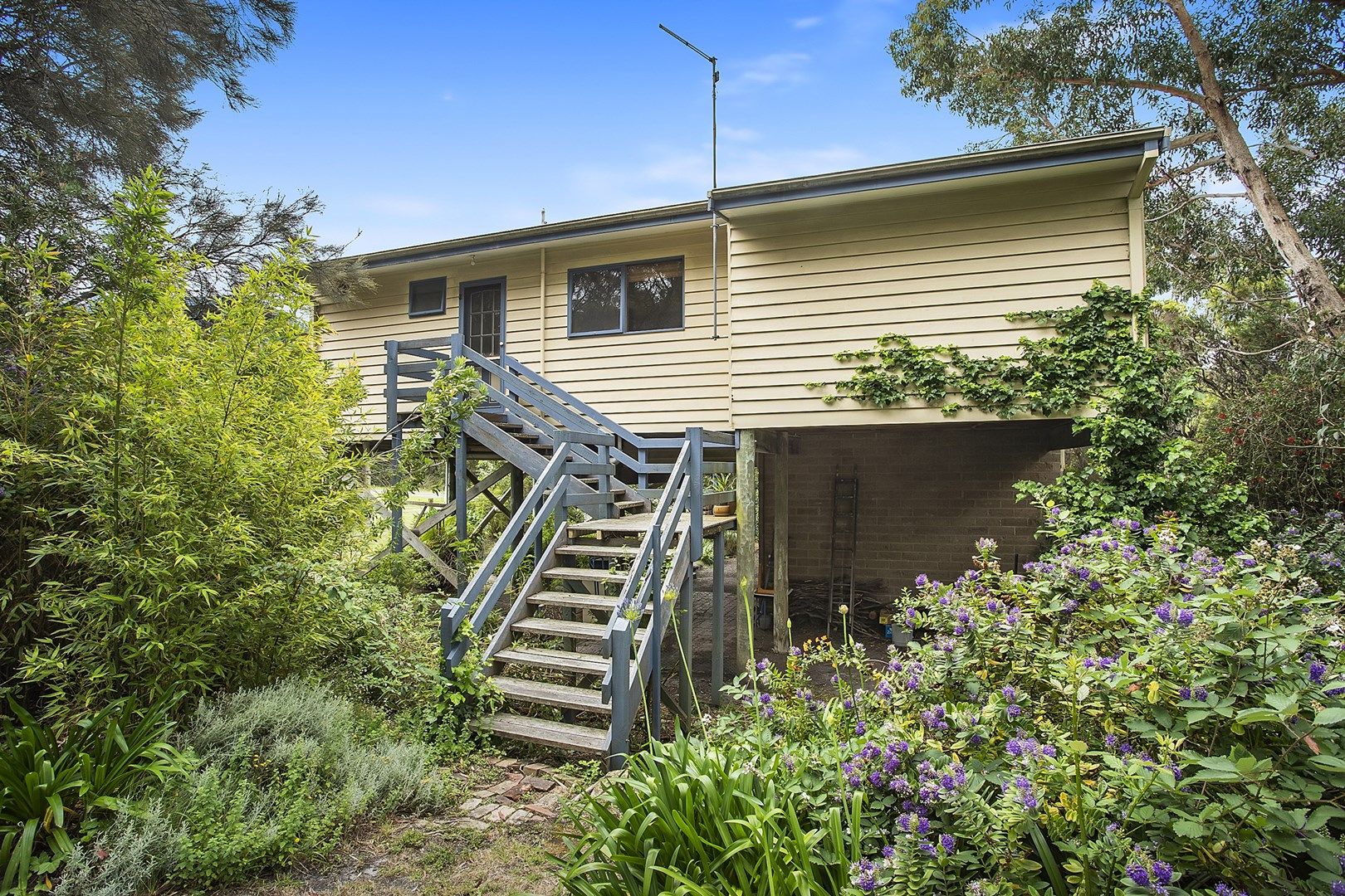 20 Telford Street, Marengo VIC 3233, Image 2