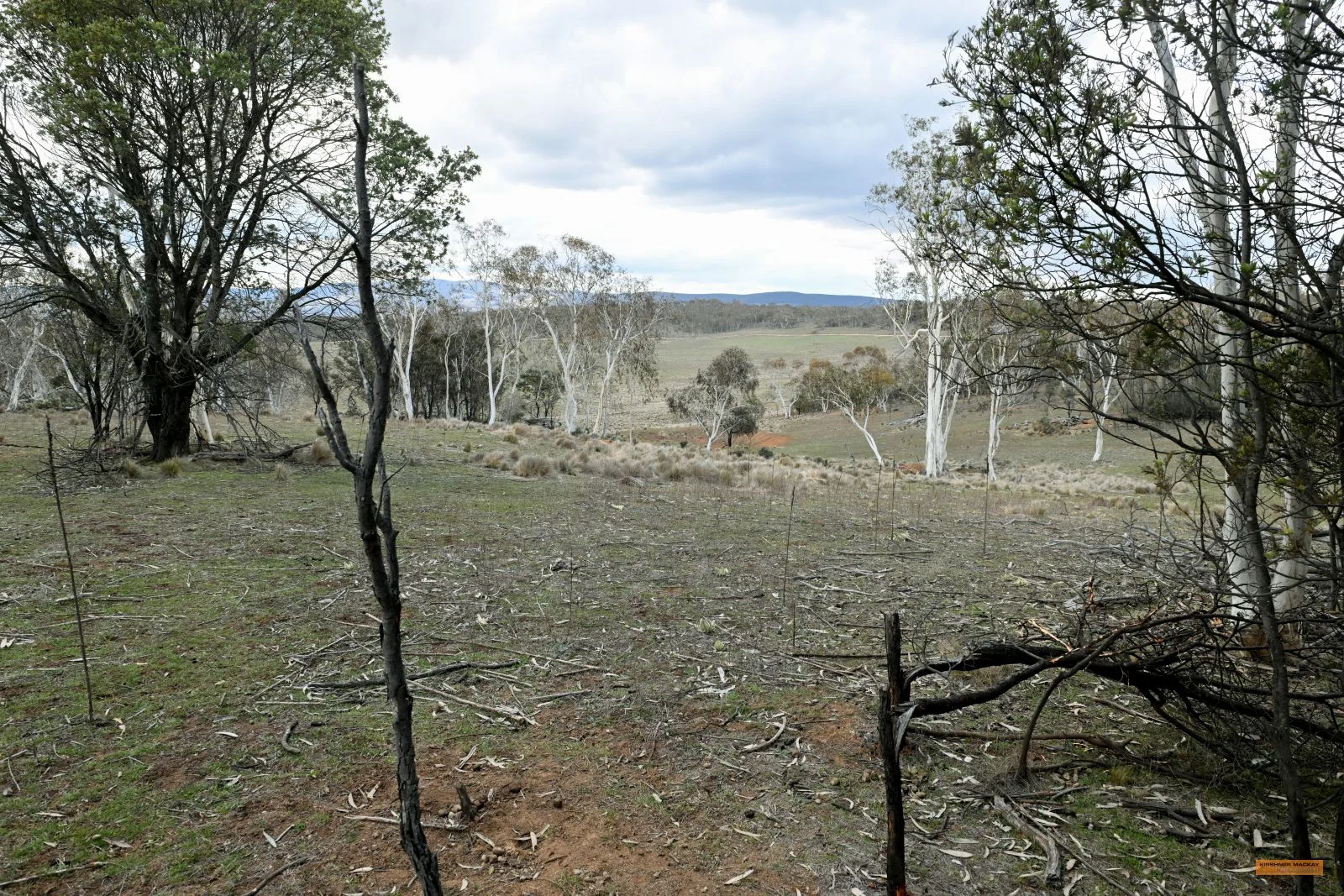 Image 14