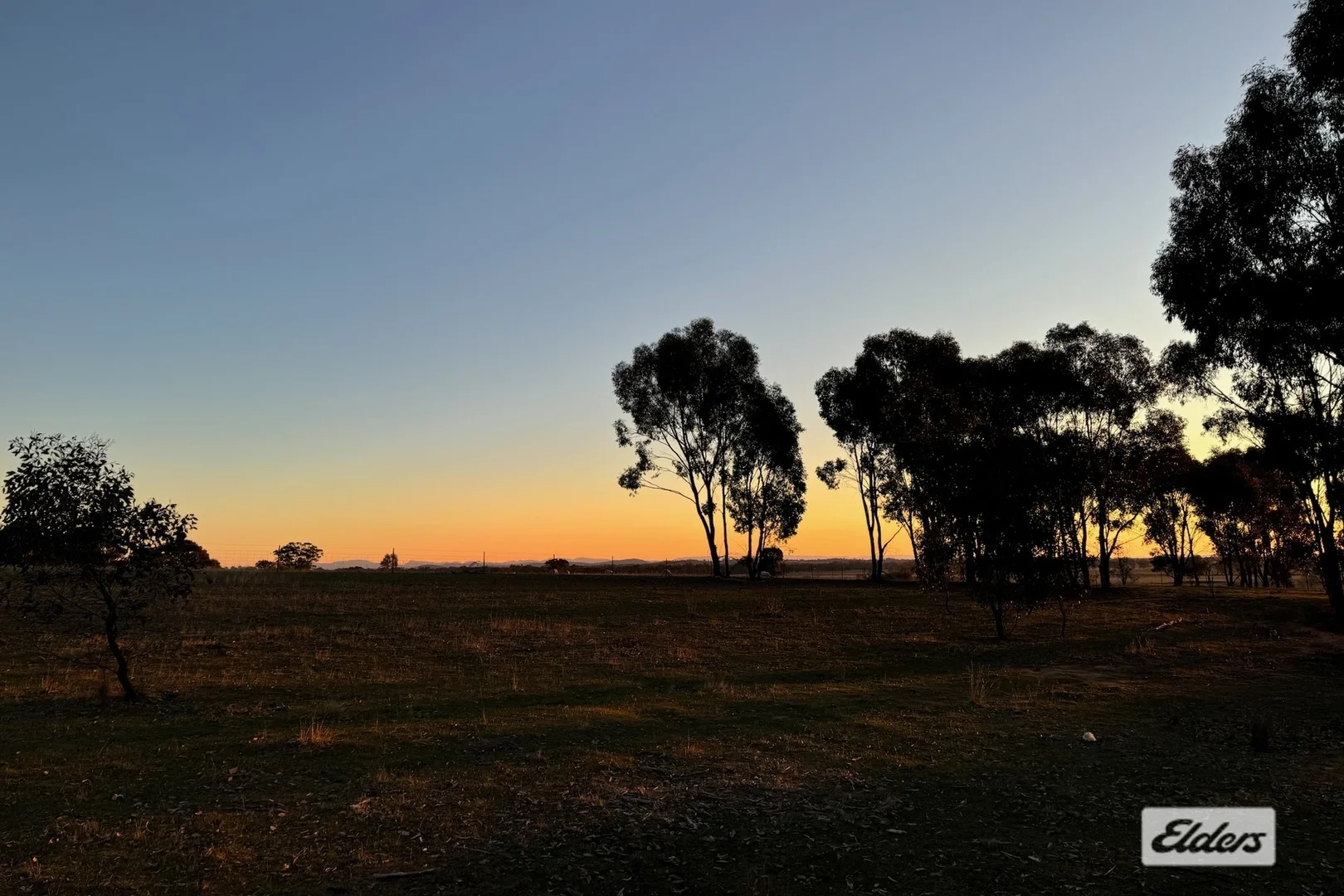 Image 22