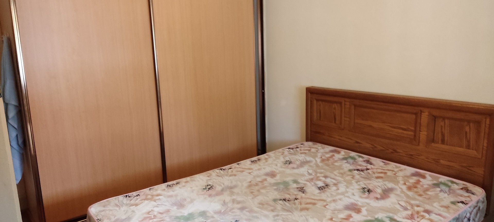 3 bedrooms House in Bellombi Street CAMPSIE NSW, 2194