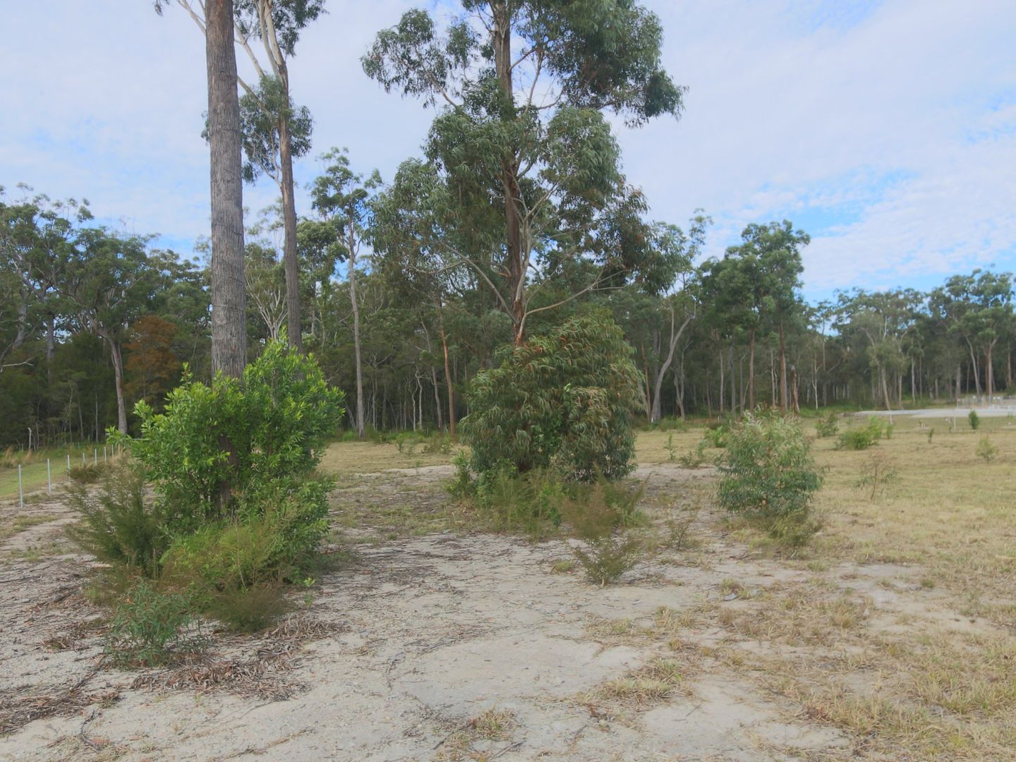 Lot 111 Willie Wagtail Street, Gulmarrad NSW 2463, Image 2