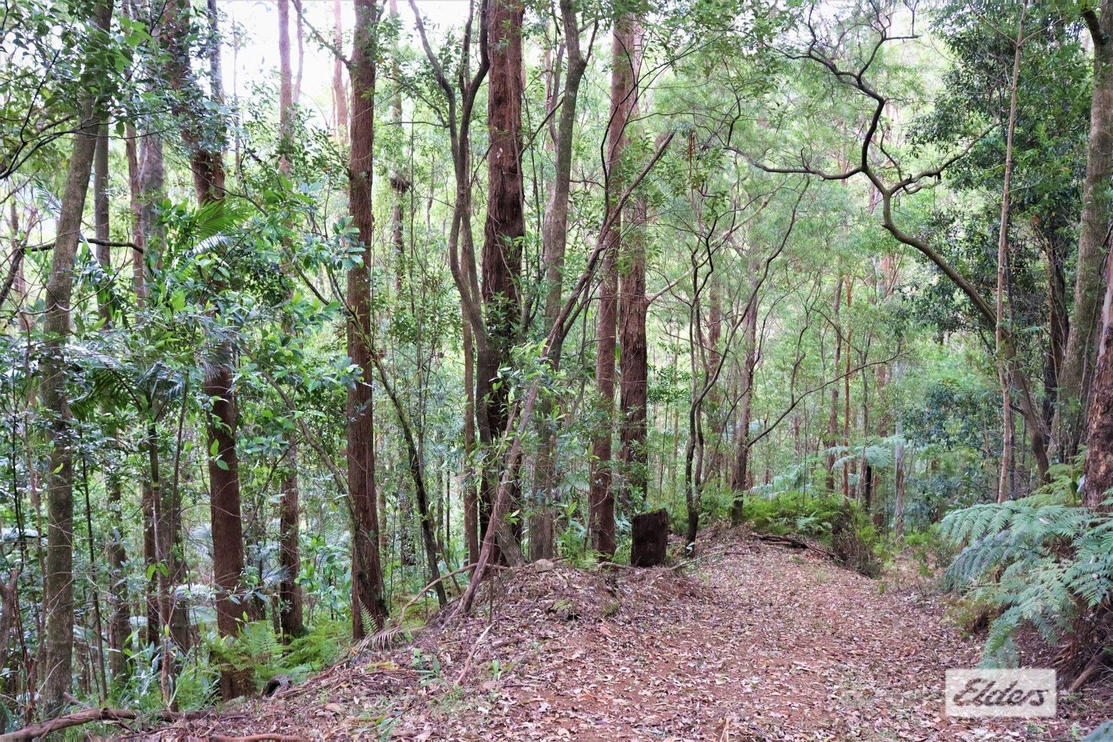 Lot 1 Pine Log Road, Doon Doon NSW 2484, Image 1