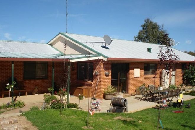 Picture of NEVILLE NSW 2799