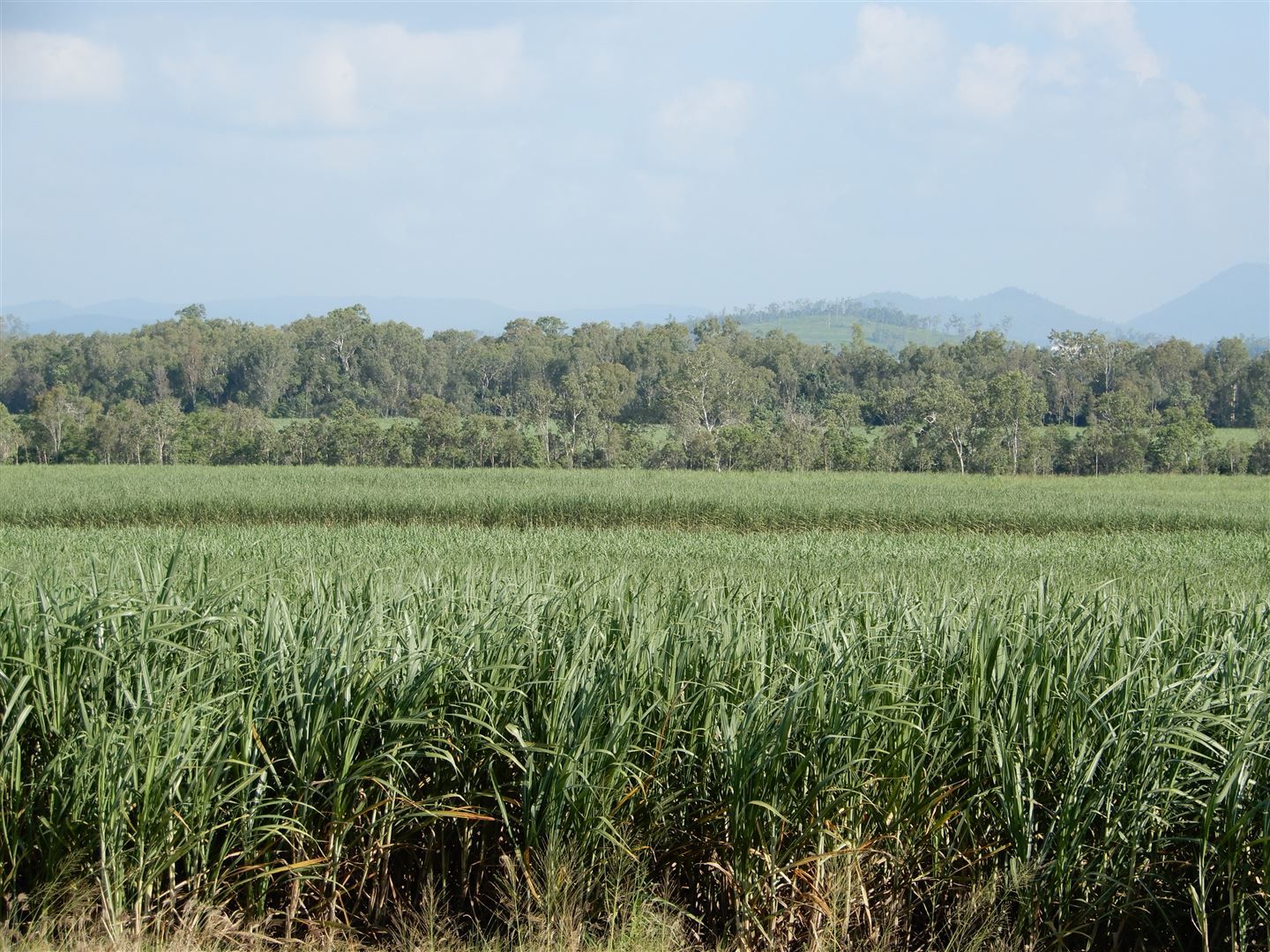 Mount Ossa QLD 4741, Image 0