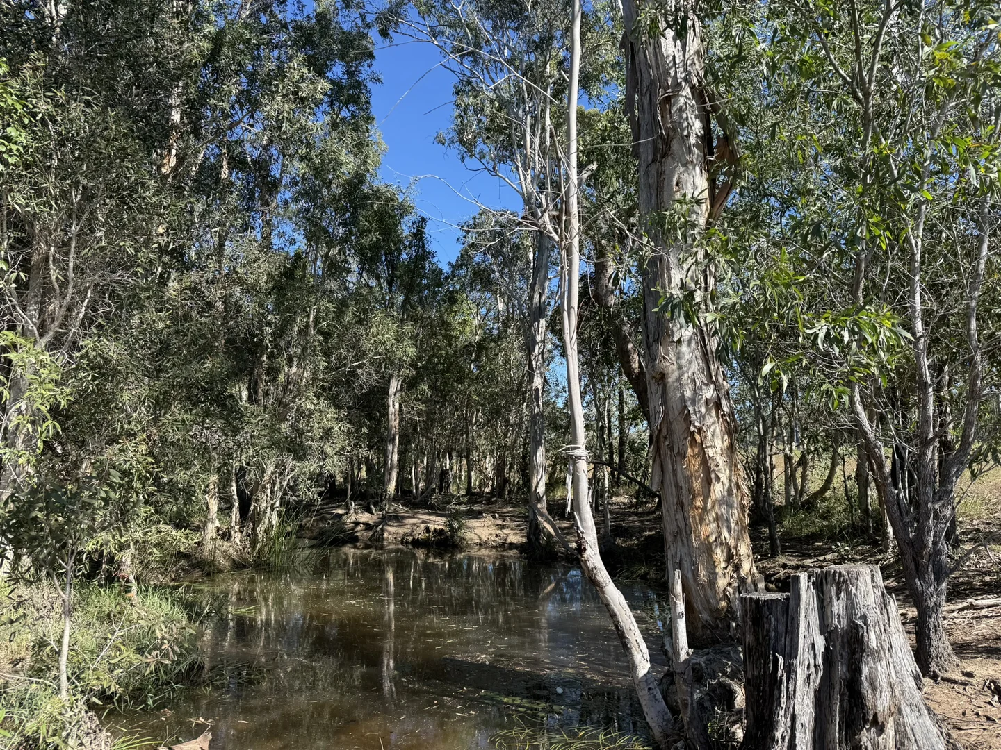 Image 12