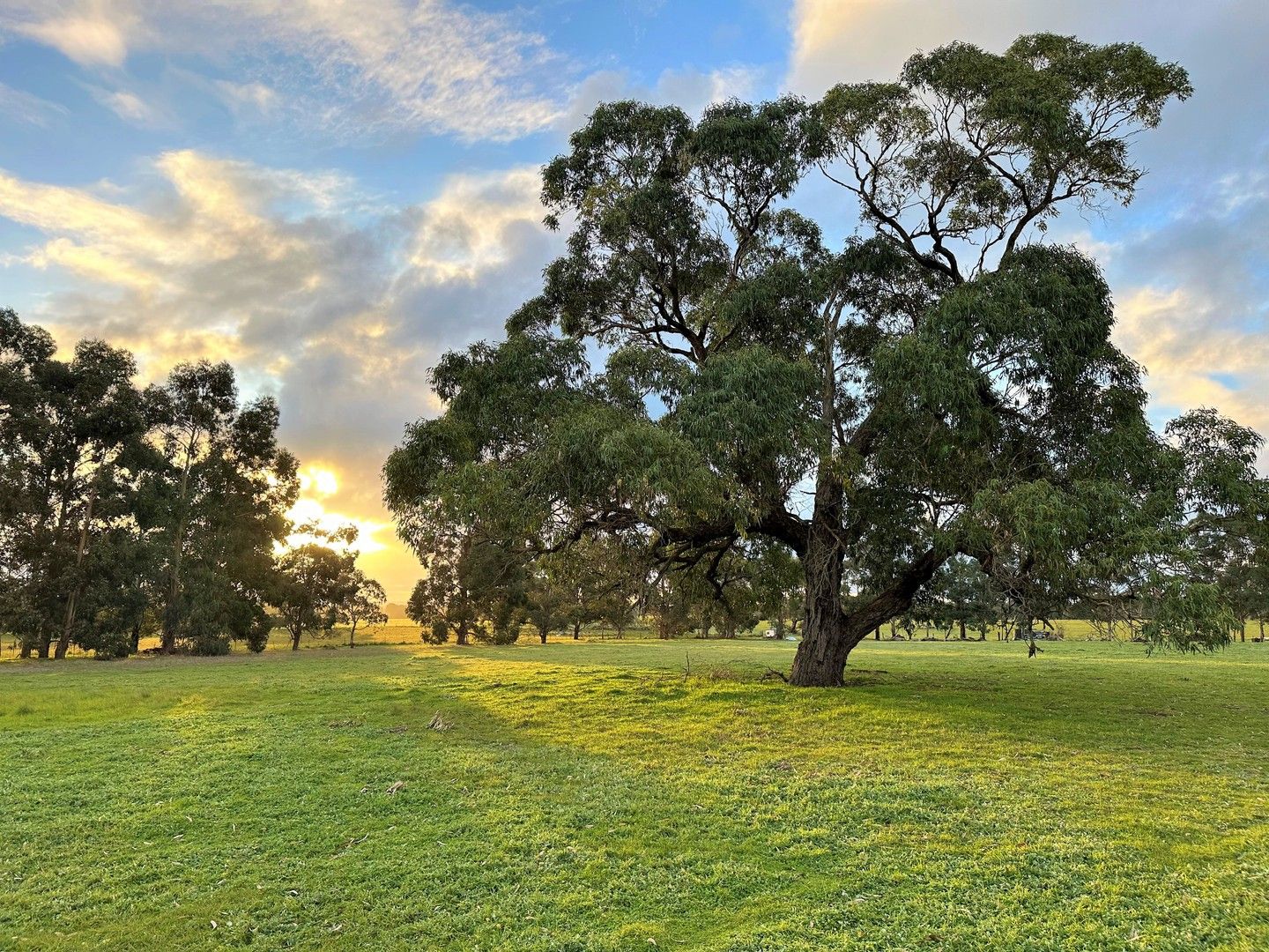 55 Repeater Station Road, Naracoorte SA 5271, Image 0