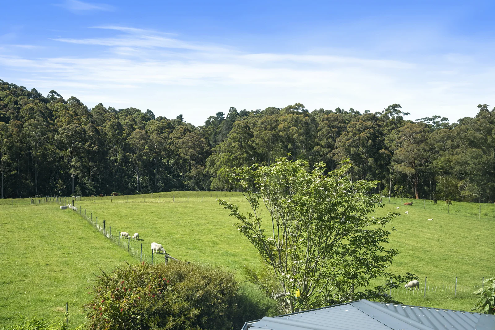 Additional image 25 of 164 Saddle Road, Kettering TAS 7155