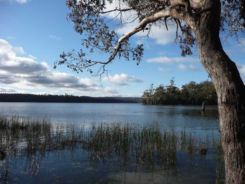 Lot 1 Lake Leake Road, LAKE LEAKE TAS 7210, Image 1