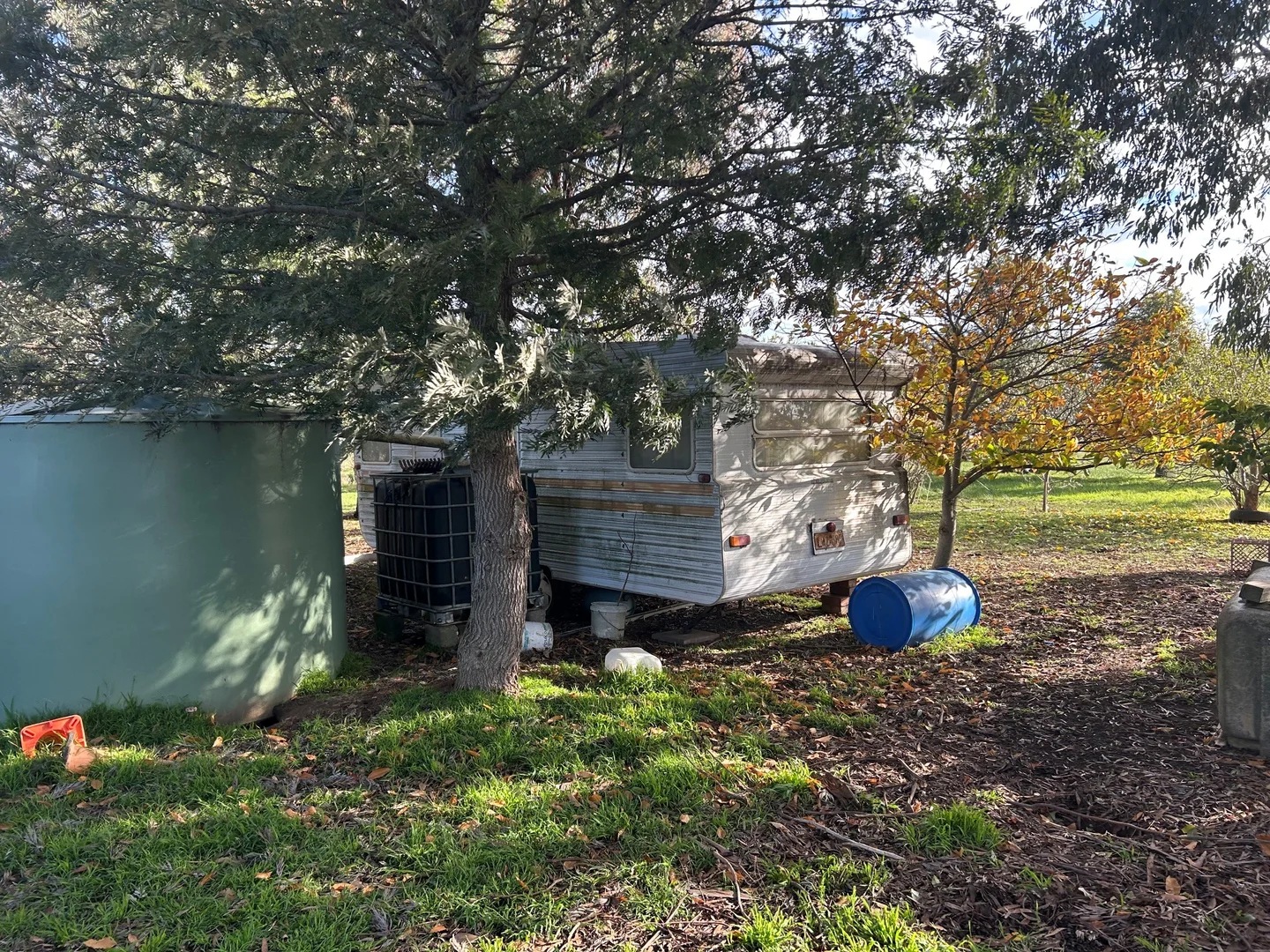 Image 14