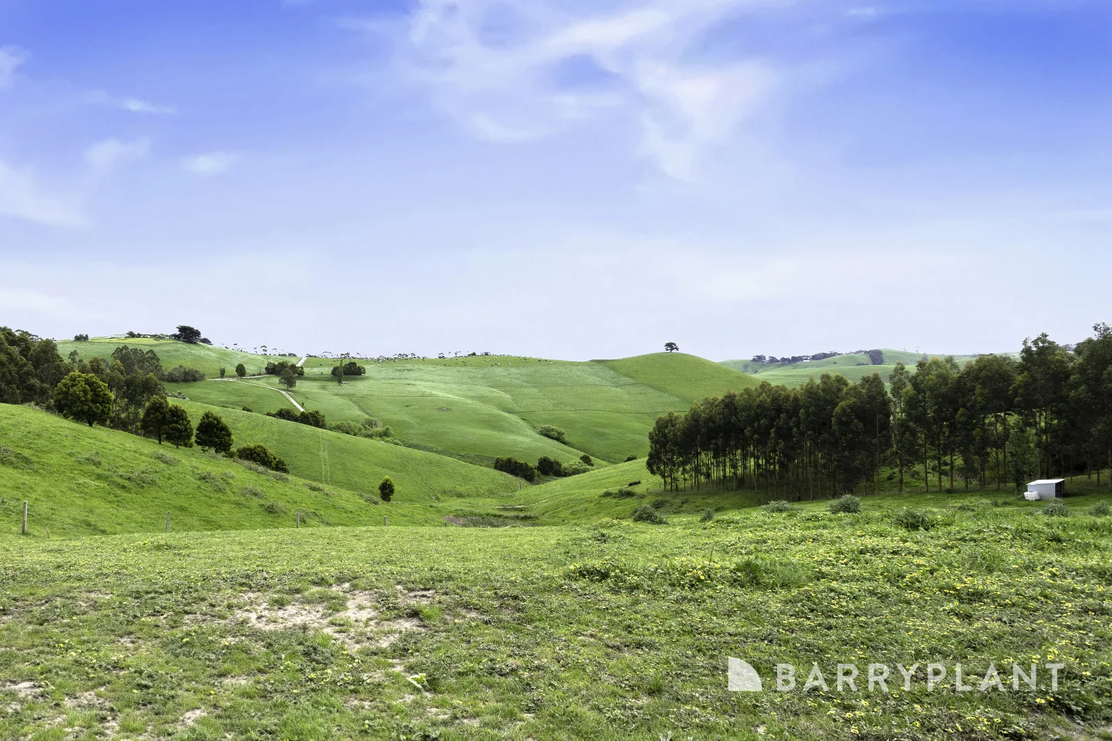 Additional image 29 of 10 Baker Road, Krowera VIC 3945