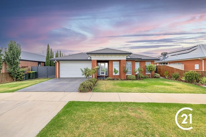 Picture of 14 Durif Drive, MOAMA NSW 2731