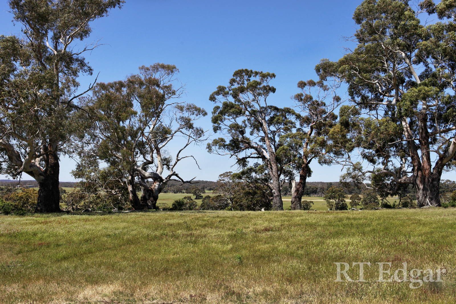 80 Crowleys Lane, Glenlyon VIC 3461, Image 1