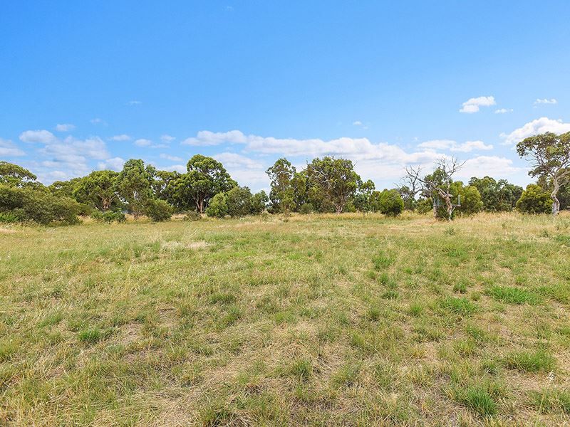 3Lots Adelaide Place, Currency Creek SA 5214, Image 2