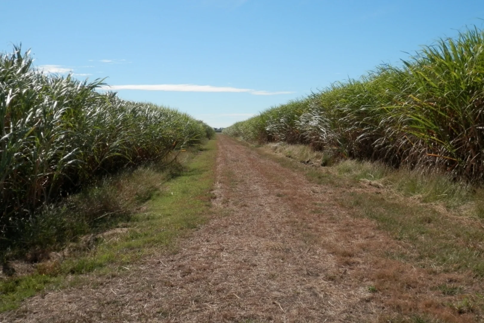 Image 15